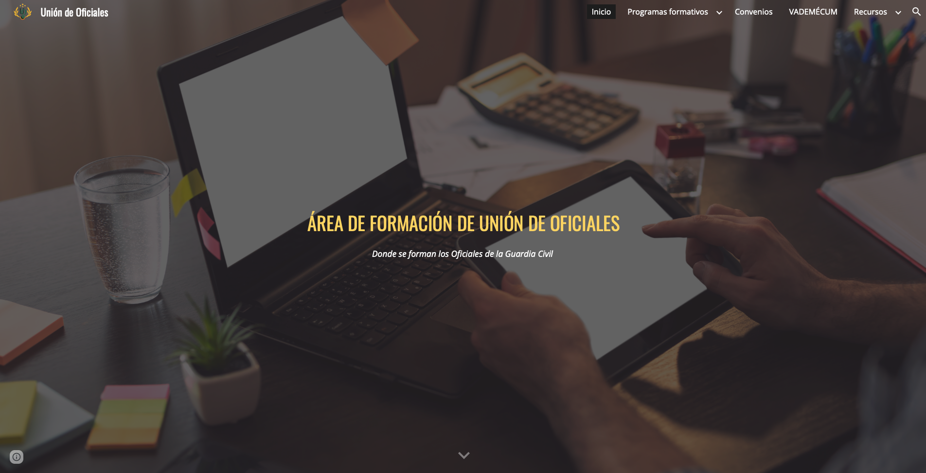 ÁREA DE FORMACIÓN