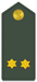 Teniente