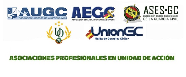 Las asociaciones profesionales de la Guardia Civil reclaman la activación de los órganos de negociación para conocer el grado de compromiso de Interior con el acuerdo de equiparación salarial